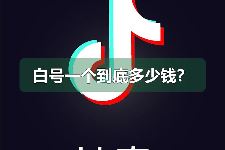 白号一个到底多少钱？